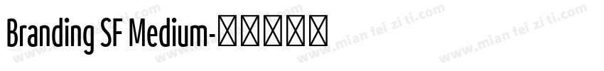 Branding SF Medium字体转换